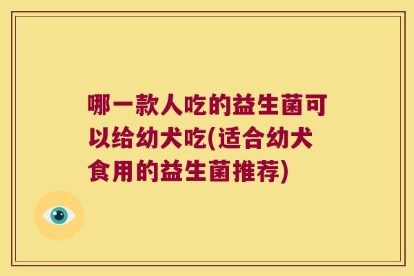 哪一款人吃的益生菌可以给幼犬吃(适合幼犬食用的益生菌推荐)