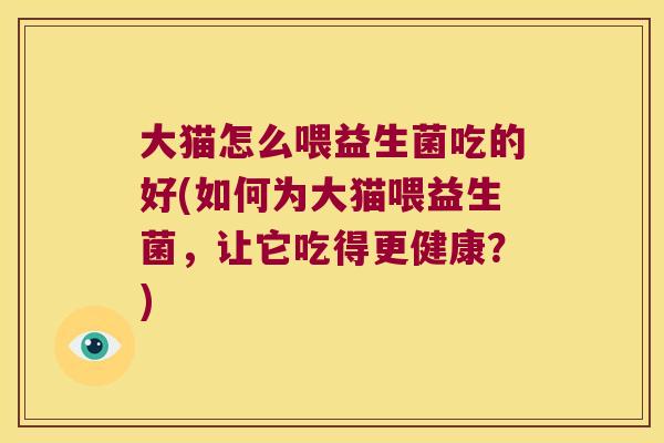 大猫怎么喂益生菌吃的好(如何为大猫喂益生菌，让它吃得更健康？)