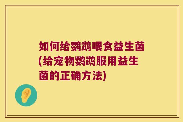 如何给鹦鹉喂食益生菌(给宠物鹦鹉服用益生菌的正确方法)