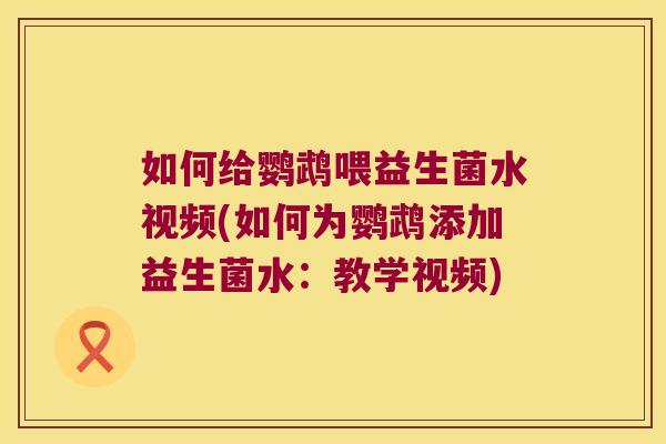 如何给鹦鹉喂益生菌水视频(如何为鹦鹉添加益生菌水:教学视频) 如何给鹦鹉喂益生菌水视频(如何为鹦鹉添加益生菌水:教学视频)