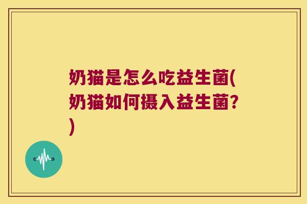 奶猫是怎么吃益生菌(奶猫如何摄入益生菌？)