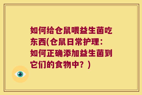 如何给仓鼠喂益生菌吃东西(仓鼠日常护理：如何正确添加益生菌到它们的食物中？)