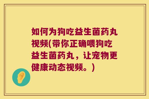 如何为狗吃益生菌药丸视频(带你正确喂狗吃益生菌药丸，让宠物更健康动态视频。)