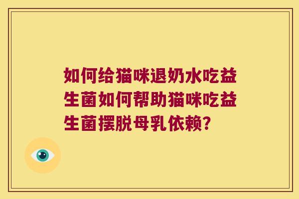 如何给猫咪退奶水吃益生菌如何帮助猫咪吃益生菌摆脱母乳依赖？