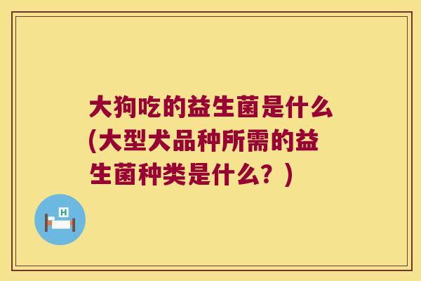 大狗吃的益生菌是什么(大型犬品种所需的益生菌种类是什么？)