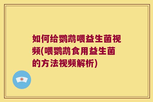 如何给鹦鹉喂益生菌视频(喂鹦鹉食用益生菌的方法视频解析)