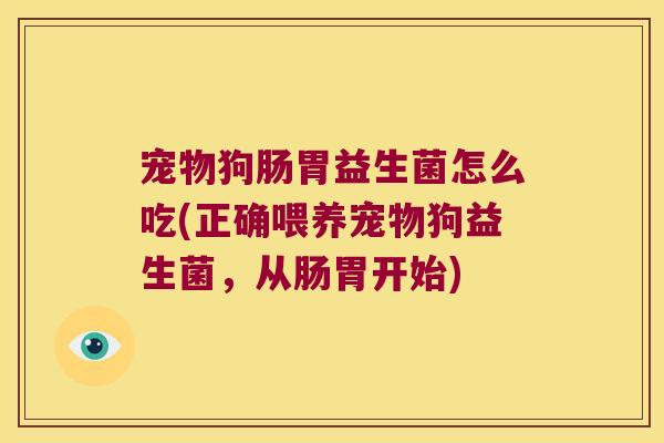 宠物狗肠胃益生菌怎么吃(正确喂养宠物狗益生菌，从肠胃开始)