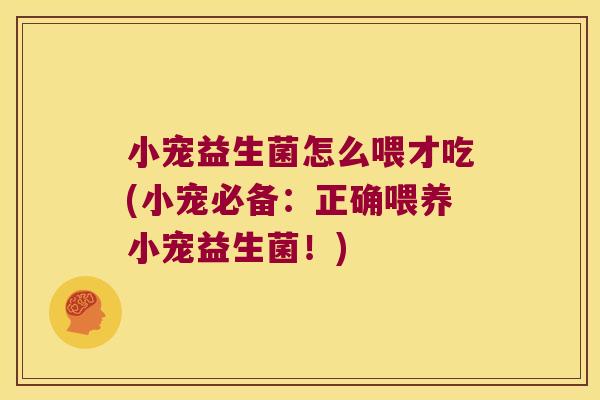 小宠益生菌怎么喂才吃(小宠必备：正确喂养小宠益生菌！)