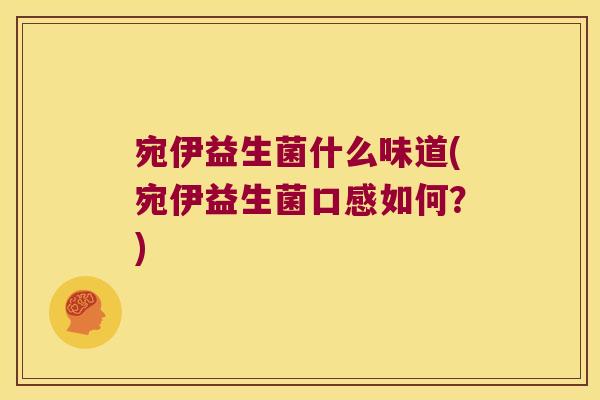 宛伊益生菌什么味道(宛伊益生菌口感如何？)