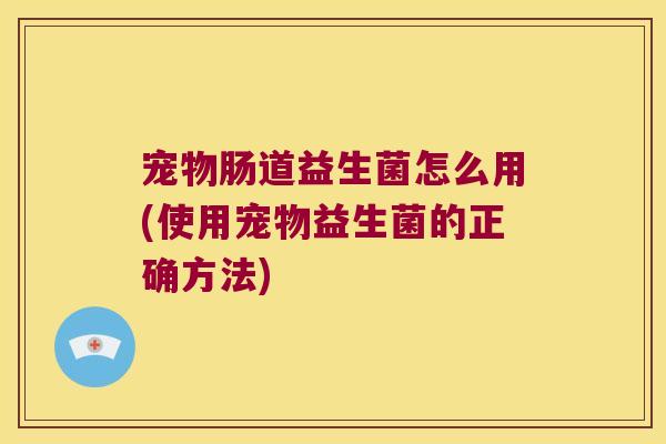 宠物肠道益生菌怎么用(使用宠物益生菌的正确方法)