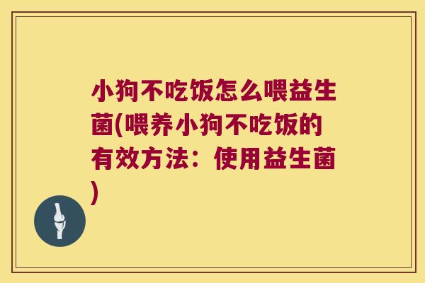 小狗不吃饭怎么喂益生菌(喂养小狗不吃饭的有效方法：使用益生菌)
