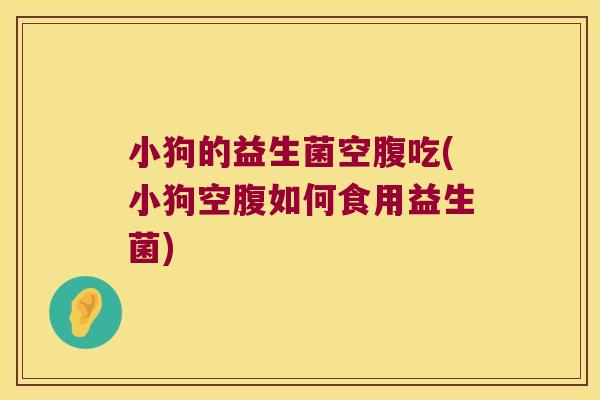 小狗的益生菌空腹吃(小狗空腹如何食用益生菌)