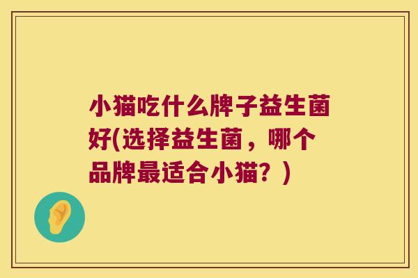 小猫吃什么牌子益生菌好(选择益生菌，哪个品牌适合小猫？)