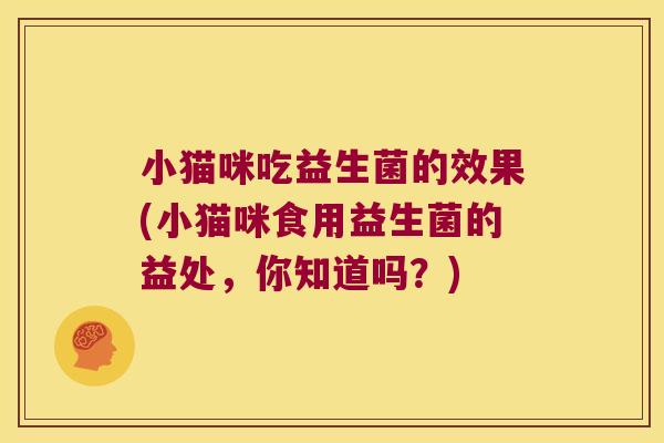 小猫咪吃益生菌的效果(小猫咪食用益生菌的益处，你知道吗？)