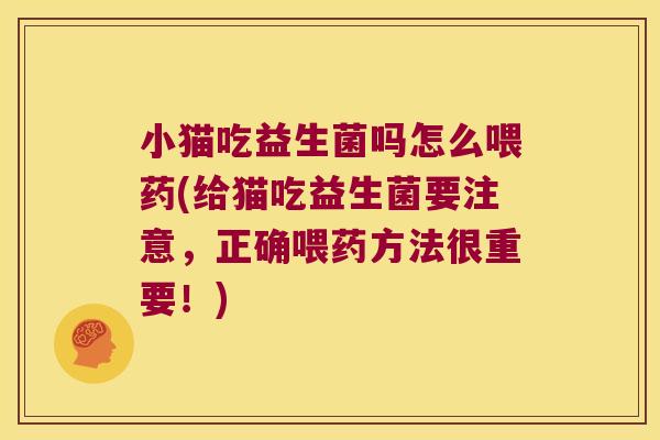 小猫吃益生菌吗怎么喂药(给猫吃益生菌要注意，正确喂药方法很重要！)