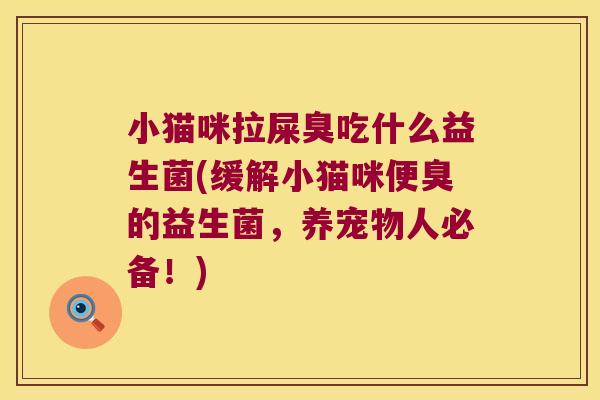 小猫咪拉屎臭吃什么益生菌(缓解小猫咪便臭的益生菌，养宠物人必备！)