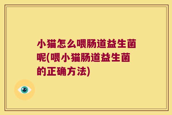 小猫怎么喂肠道益生菌呢(喂小猫肠道益生菌的正确方法)