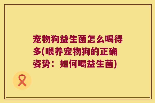 宠物狗益生菌怎么喝得多(喂养宠物狗的正确姿势：如何喝益生菌)