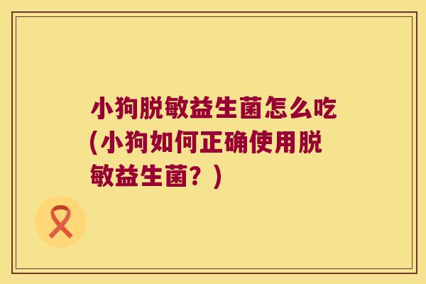 小狗脱敏益生菌怎么吃(小狗如何正确使用脱敏益生菌？)