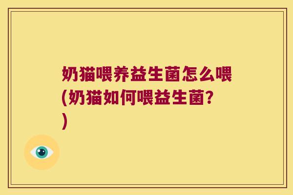 奶猫喂养益生菌怎么喂(奶猫如何喂益生菌？)