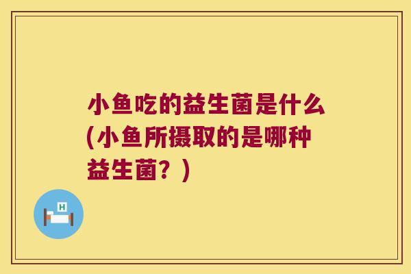 小鱼吃的益生菌是什么(小鱼所摄取的是哪种益生菌？)
