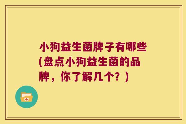 小狗益生菌牌子有哪些(盘点小狗益生菌的品牌，你了解几个？)