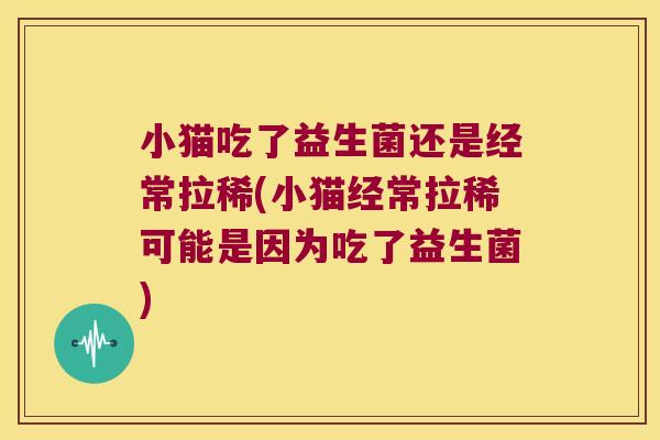 小猫吃了益生菌还是经常拉稀(小猫经常拉稀可能是因为吃了益生菌)