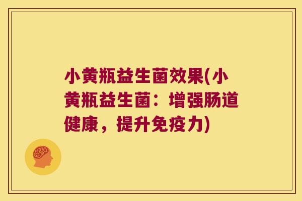 小黄瓶益生菌效果(小黄瓶益生菌：增强肠道健康，提升免疫力)