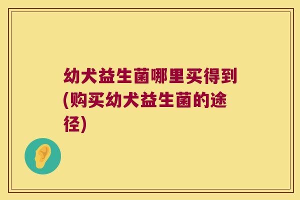 幼犬益生菌哪里买得到(购买幼犬益生菌的途径) 幼犬益生菌哪里买得到(购买幼犬益生菌的途径)