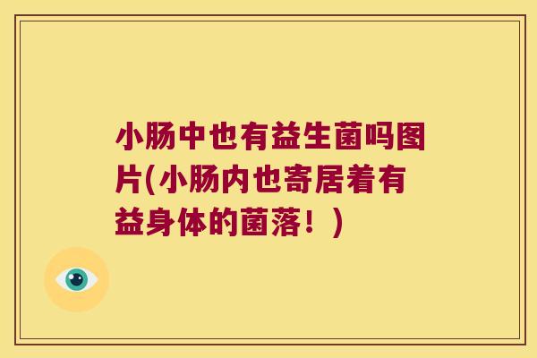 小肠中也有益生菌吗图片(小肠内也寄居着有益身体的菌落！)