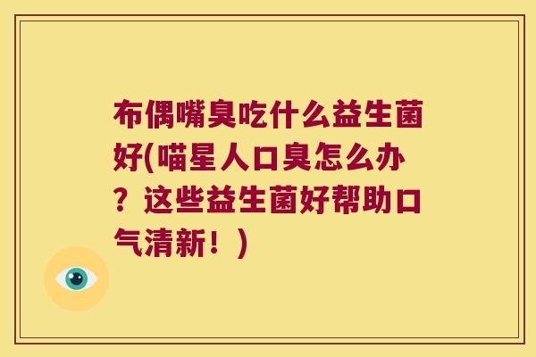 布偶嘴臭吃什么益生菌好(喵星人怎么办?这些益生菌好帮助口气清新!) 布偶嘴臭吃什么益生菌好(喵星人怎么办?这些益生菌好帮助口气清新!)