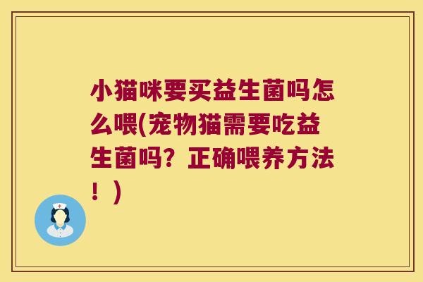 小猫咪要买益生菌吗怎么喂(宠物猫需要吃益生菌吗？正确喂养方法！)
