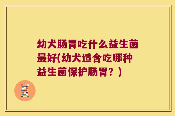 幼犬肠胃吃什么益生菌最好(幼犬适合吃哪种益生菌保护肠胃？)