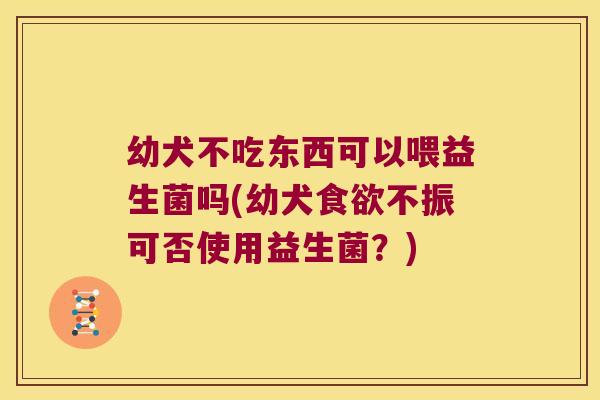 幼犬不吃东西可以喂益生菌吗(幼犬不振可否使用益生菌?) 幼犬不吃东西可以喂益生菌吗(幼犬不振可否使用益生菌?)