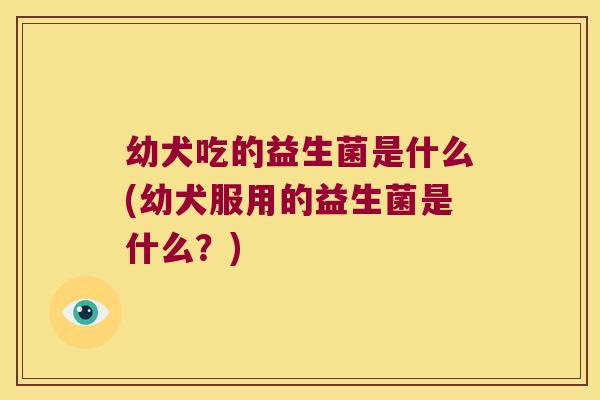 幼犬吃的益生菌是什么(幼犬服用的益生菌是什么?) 幼犬吃的益生菌是什么(幼犬服用的益生菌是什么?)