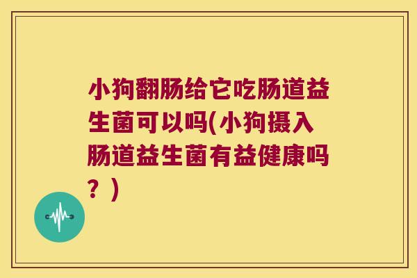 小狗翻肠给它吃肠道益生菌可以吗(小狗摄入肠道益生菌有益健康吗？)