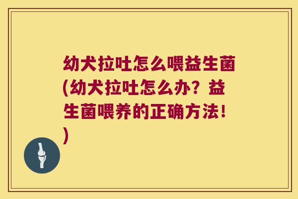 幼犬拉吐怎么喂益生菌(幼犬拉吐怎么办?益生菌喂养的正确方法!) 幼犬拉吐怎么喂益生菌(幼犬拉吐怎么办?益生菌喂养的正确方法!)