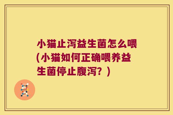 小猫止泻益生菌怎么喂(小猫如何正确喂养益生菌停止腹泻？)