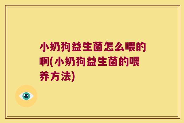 小奶狗益生菌怎么喂的啊(小奶狗益生菌的喂养方法)