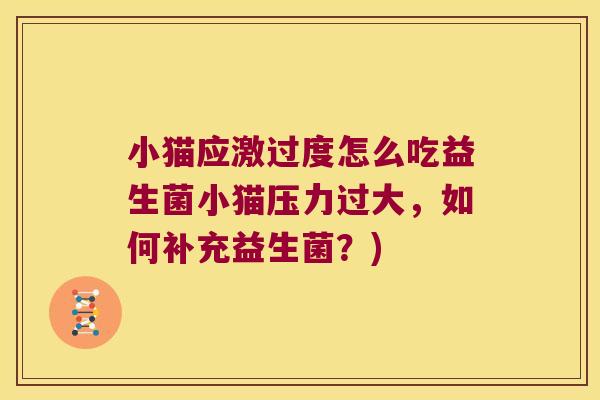 小猫应激过度怎么吃益生菌小猫压力过大，如何补充益生菌？)