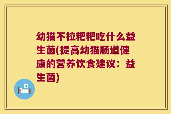幼猫不拉粑粑吃什么益生菌(提高幼猫肠道健康的营养饮食建议：益生菌)