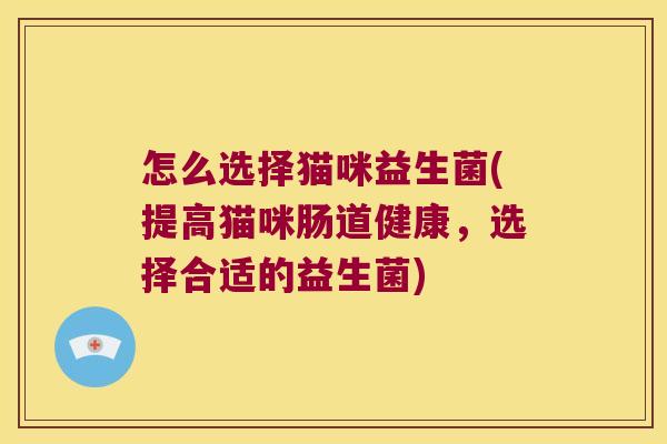怎么选择猫咪益生菌(提高猫咪肠道健康，选择合适的益生菌)