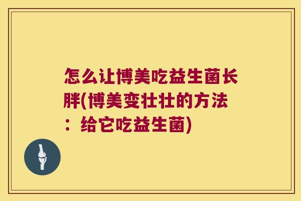怎么让博美吃益生菌长胖(博美变壮壮的方法：给它吃益生菌)