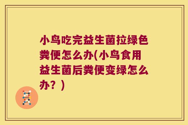 小鸟吃完益生菌拉绿色粪便怎么办(小鸟食用益生菌后粪便变绿怎么办？)