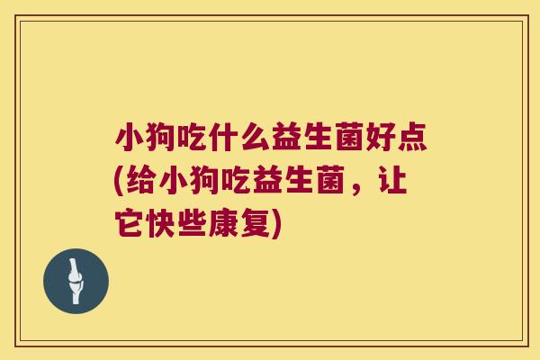小狗吃什么益生菌好点(给小狗吃益生菌，让它快些康复)