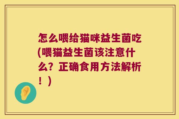 怎么喂给猫咪益生菌吃(喂猫益生菌该注意什么？正确食用方法解析！)