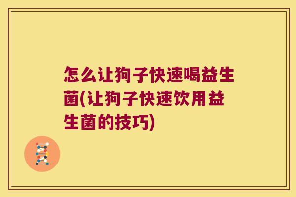 怎么让狗子快速喝益生菌(让狗子快速饮用益生菌的技巧)