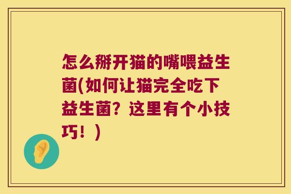 怎么掰开猫的嘴喂益生菌(如何让猫完全吃下益生菌？这里有个小技巧！)