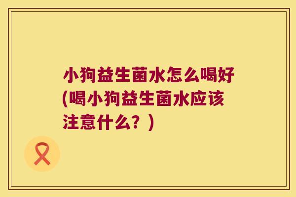 小狗益生菌水怎么喝好(喝小狗益生菌水应该注意什么？)