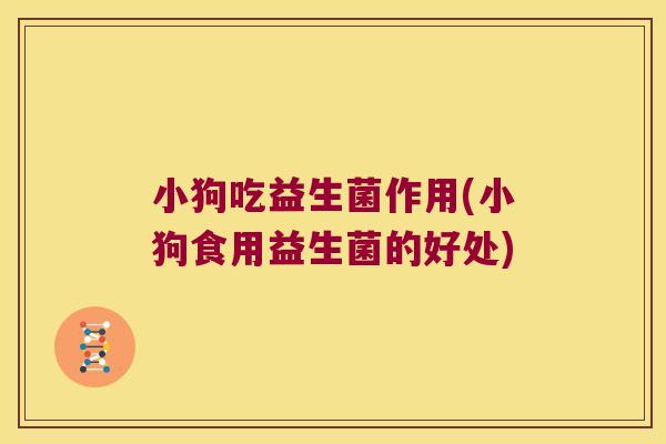 小狗吃益生菌作用(小狗食用益生菌的好处)